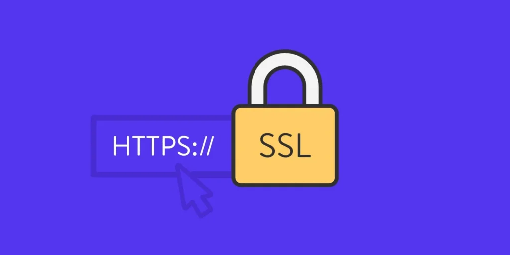 WHICH SSL CERTIFICATE AN ORGANIZATION SHOULD CHOOSE ?